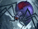 Giant spider