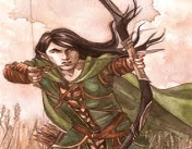 Elven hunter