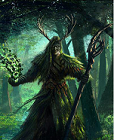 Lord of the Forest