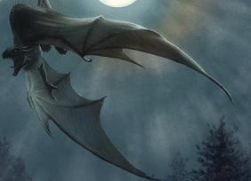 Shadow dragon